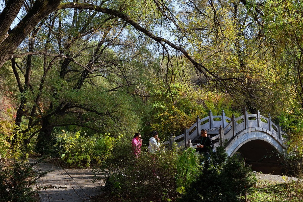 植物园 . 金秋