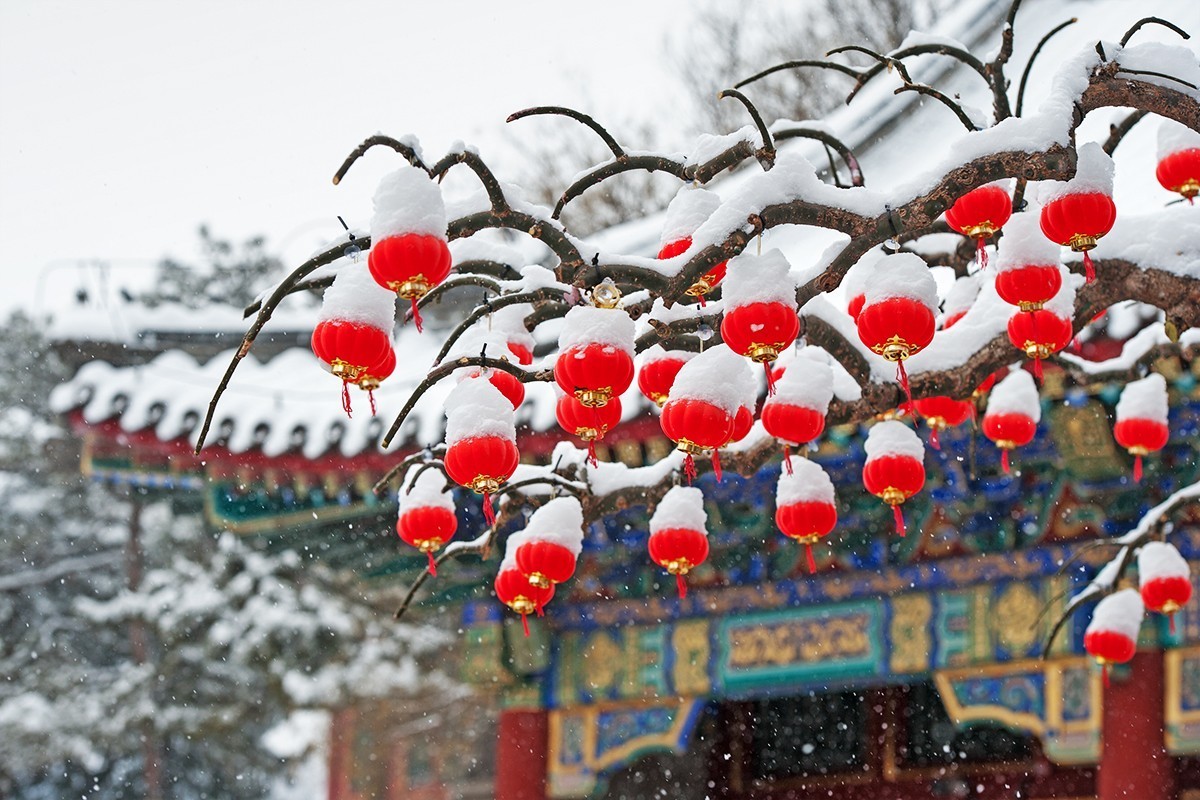 雪打灯笼一组