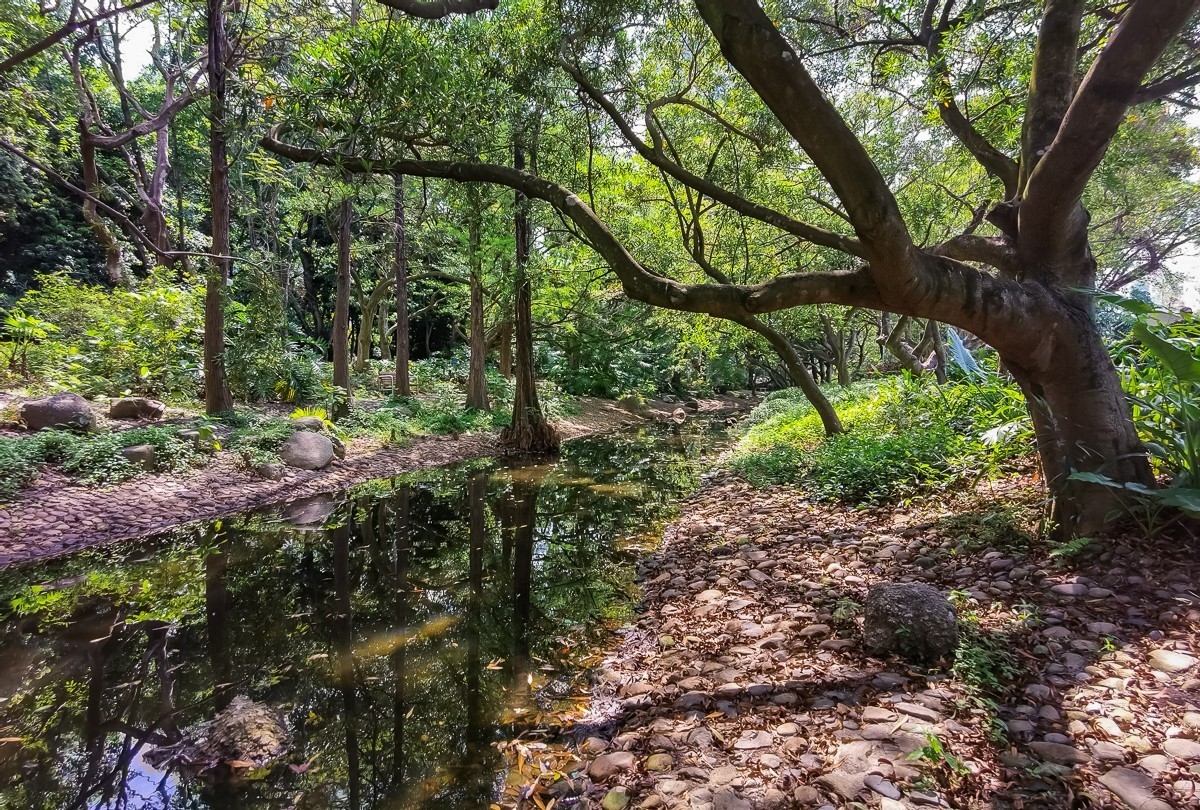 深圳人民公园 ~ 掠影