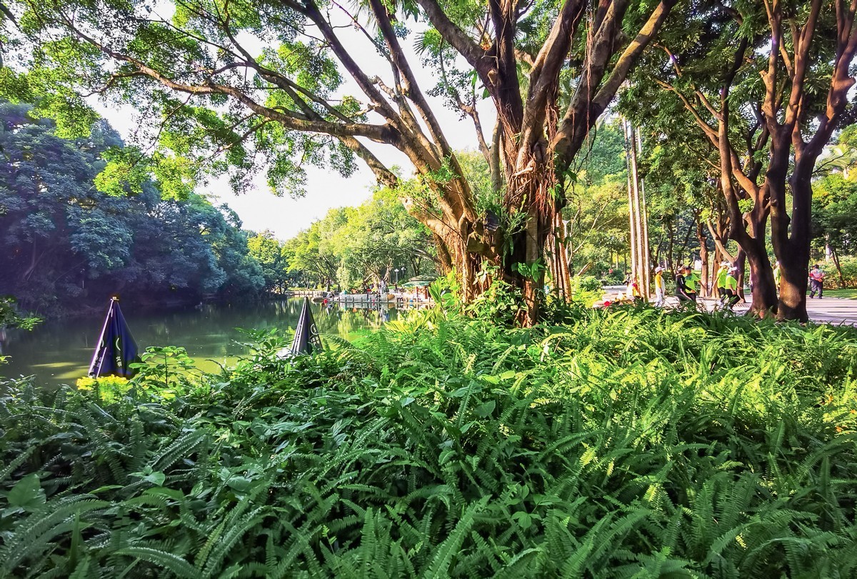 深圳人民公园 ~ 掠影