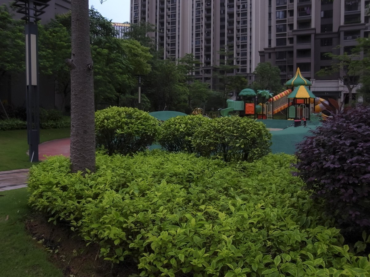 闲拍