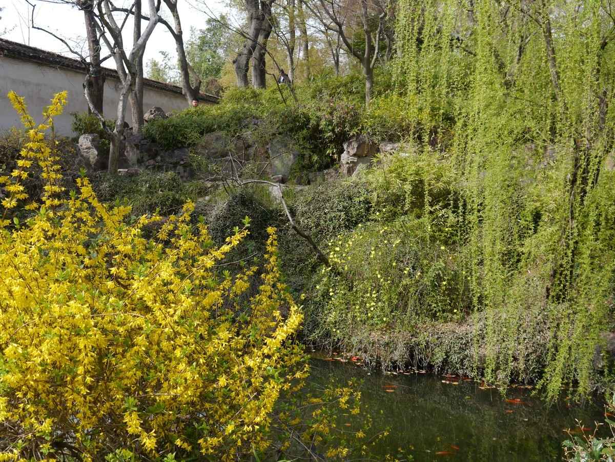 江南行之苏州篇--留园赏景（5）