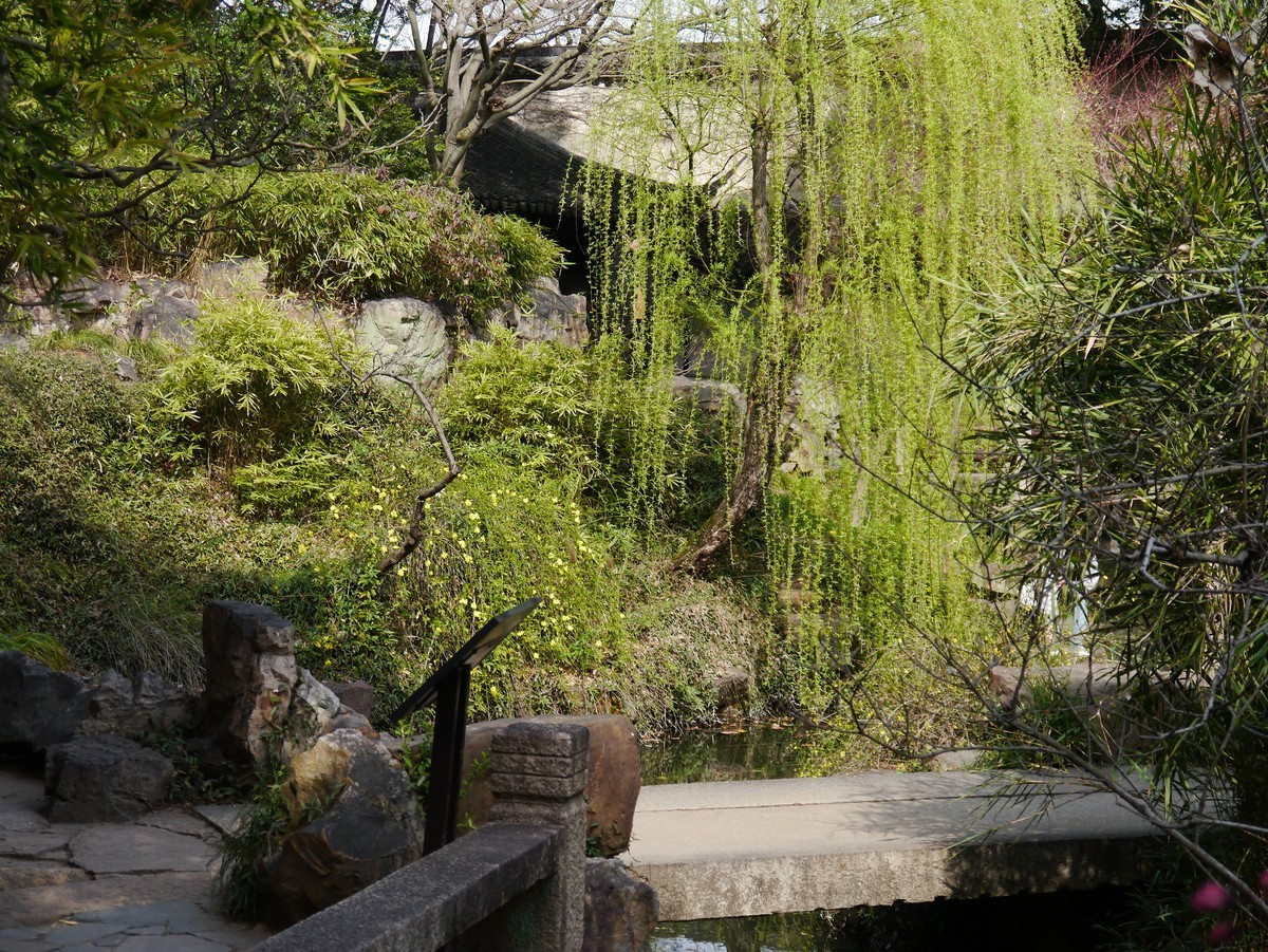 江南行之苏州篇--留园赏景（5）