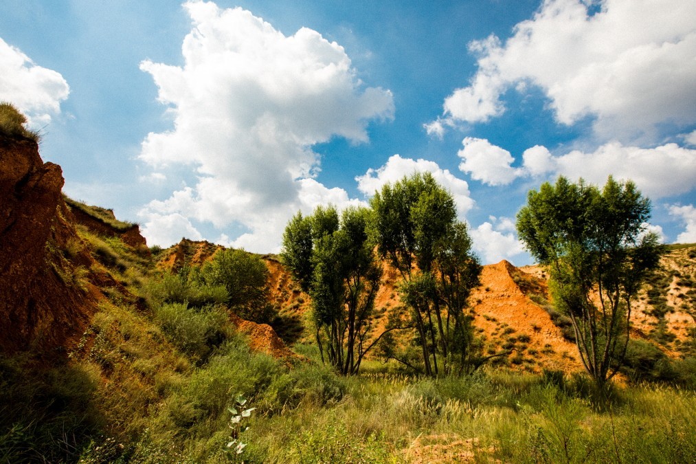 榆林一麻黄梁黄土地质公园（续二）。