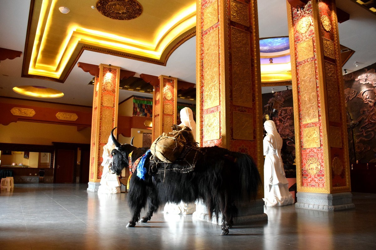 2023夏 黔赣鄂渝川（107）时光倒流的神秘之地