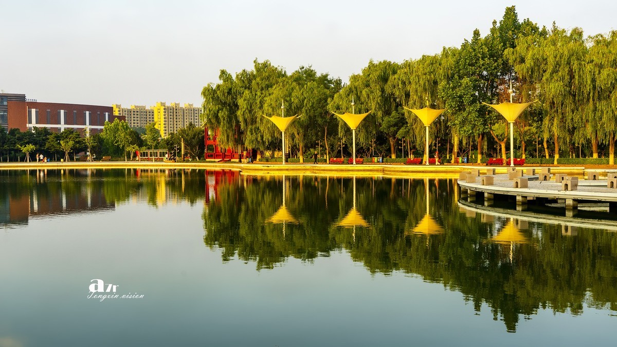 秦皇岛森林体育公园10