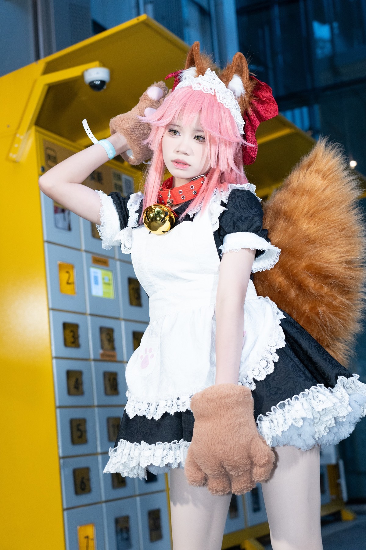 【玉藻猫】-吃喵喵一拳，野生之力爆发