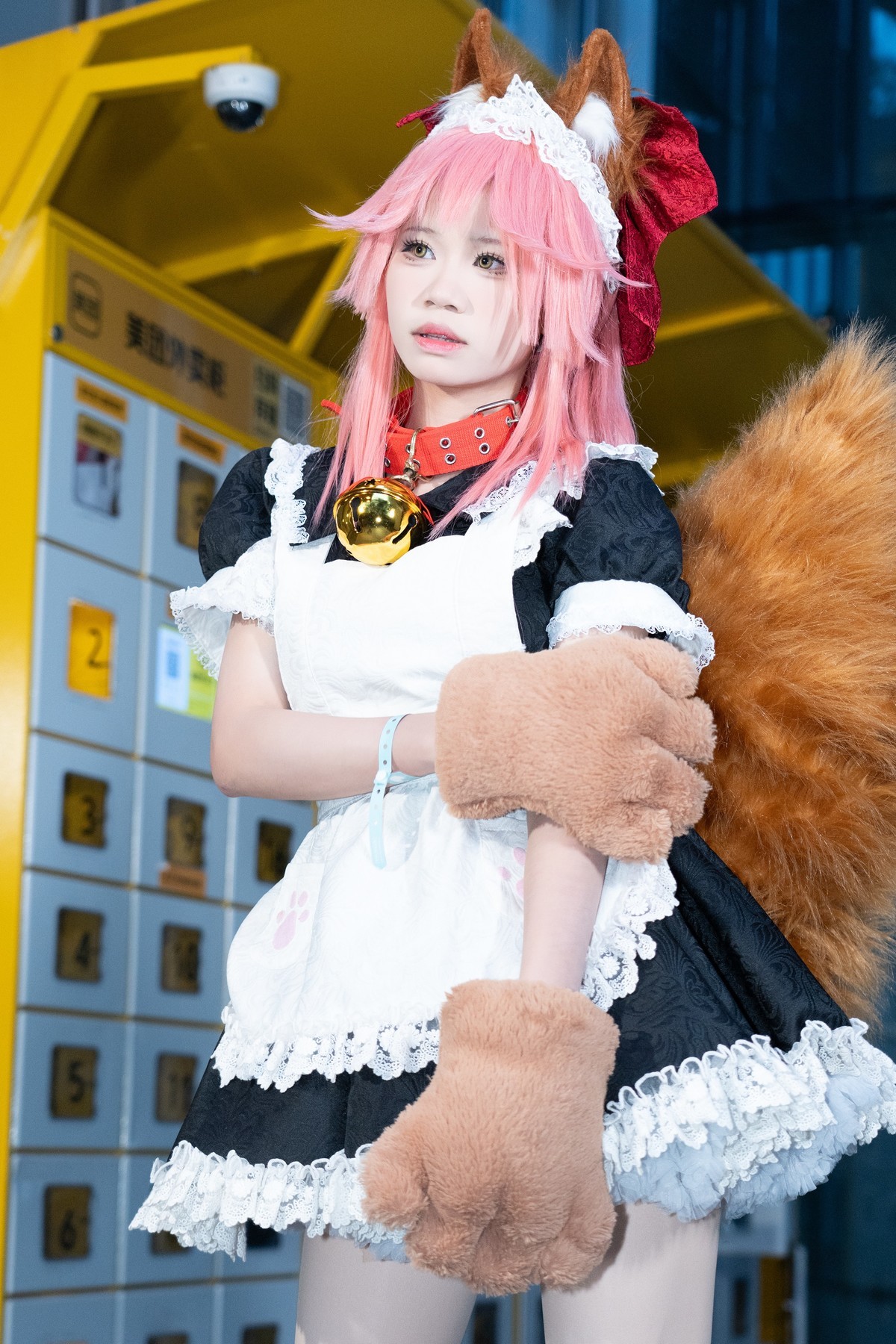 【玉藻猫】-吃喵喵一拳，野生之力爆发