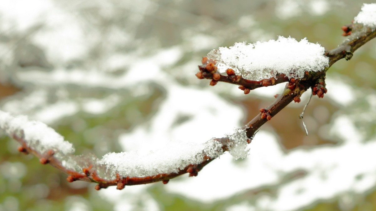 2024年成都第一场雪