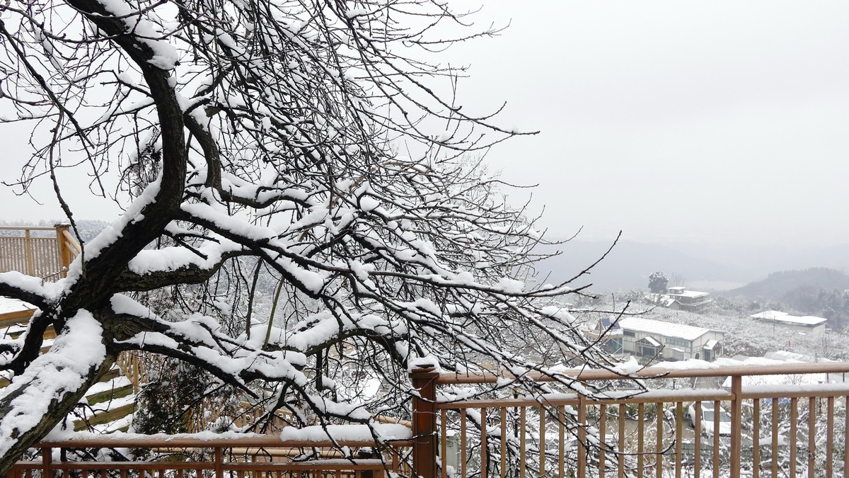 2024年成都第一场雪