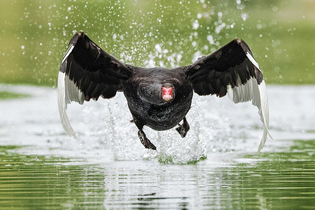 相亲相爱的一家