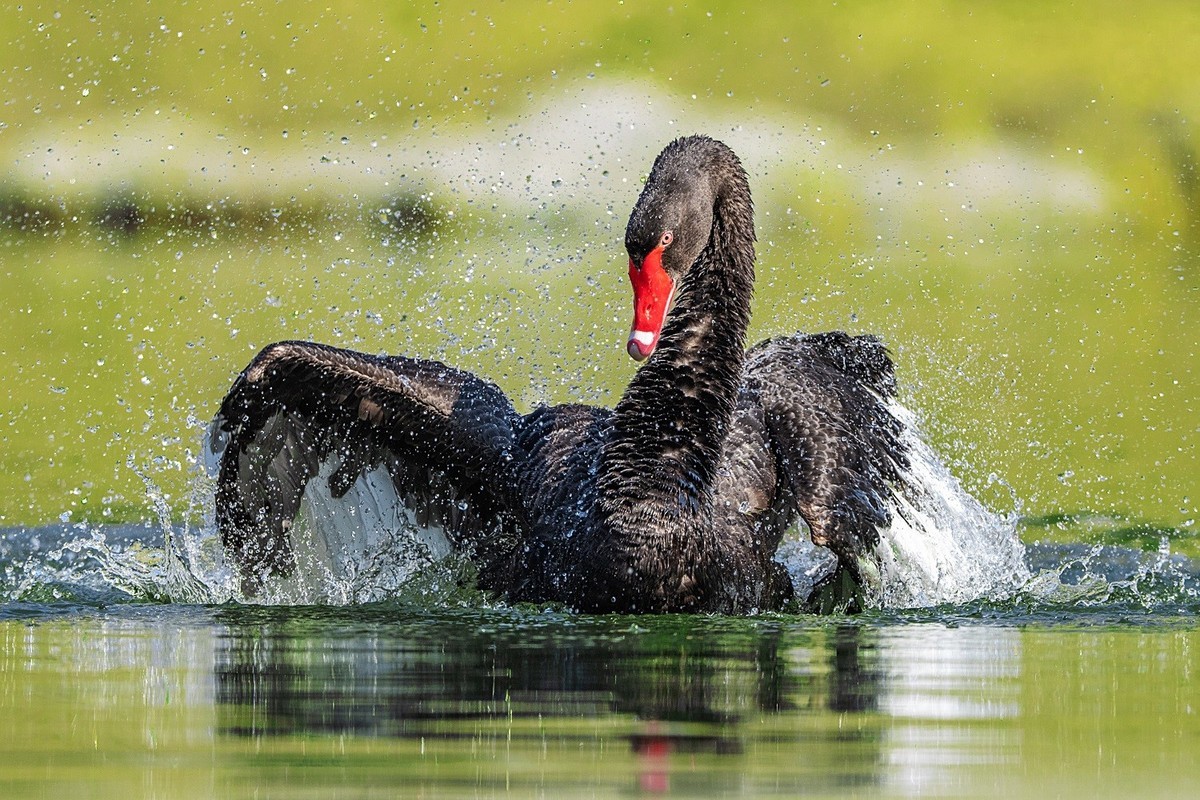 相亲相爱的一家