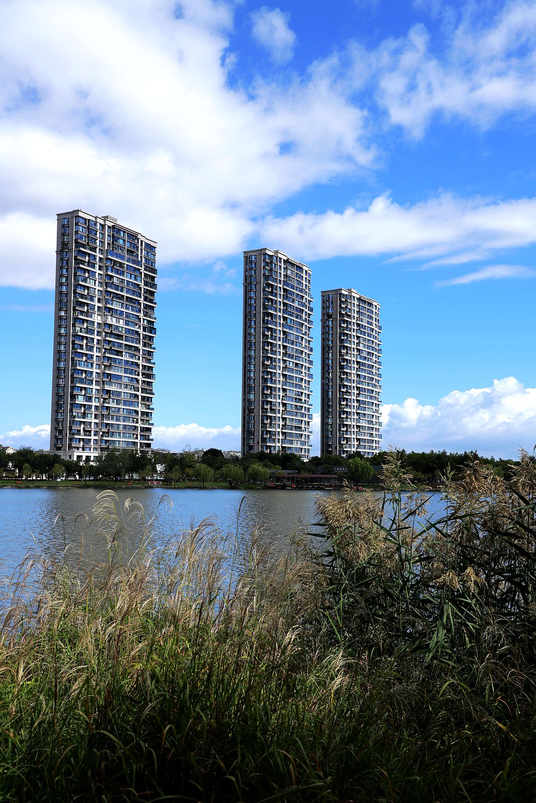 乐清清和公园 (3)