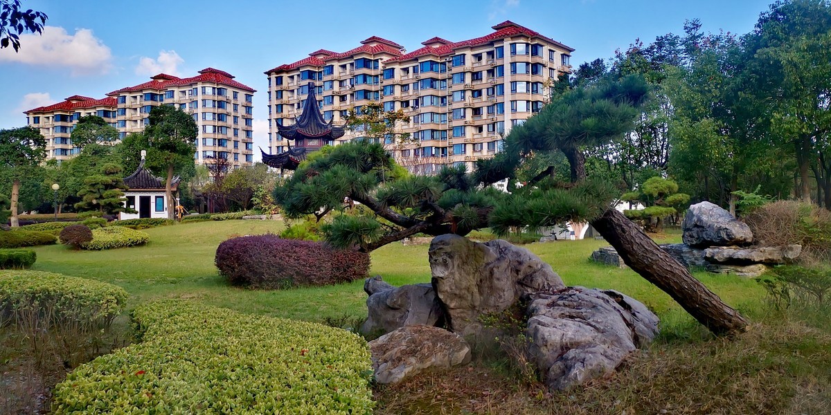 社区新绝吐芳华