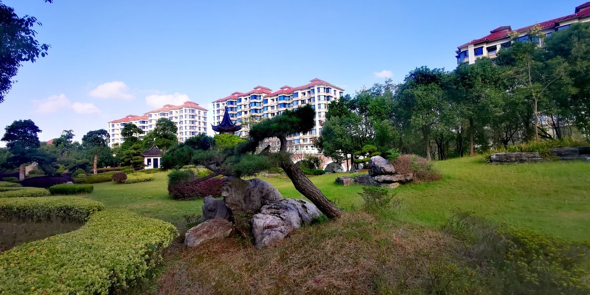 花红树绿三秋愿