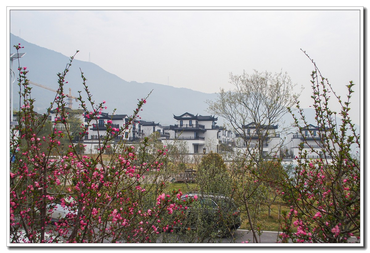 春日景色（奥林巴斯STYLUS 1拍摄）