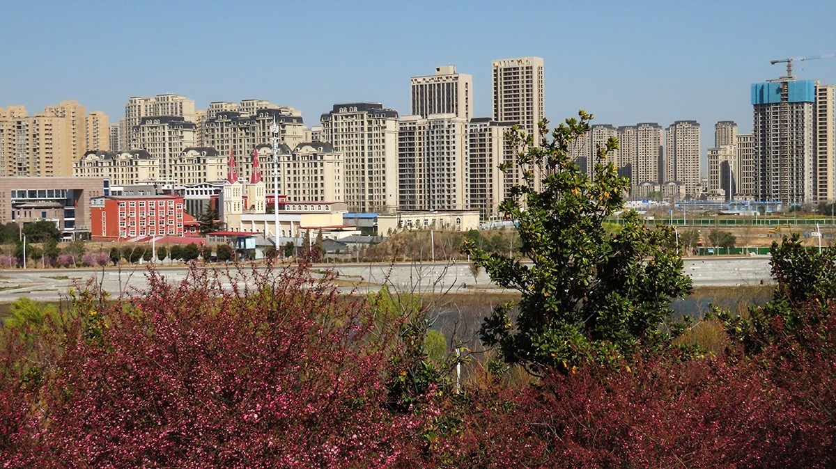 樱花盛开的季节