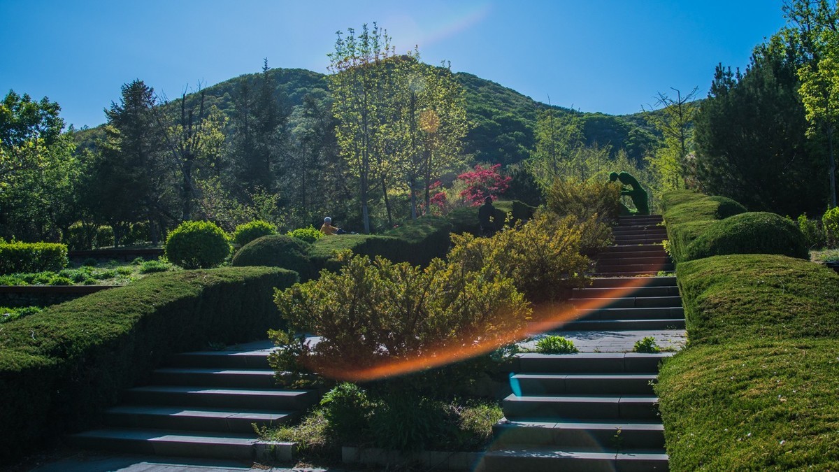 “ 五 一 ”棠 梨 湖 （ 五 ）