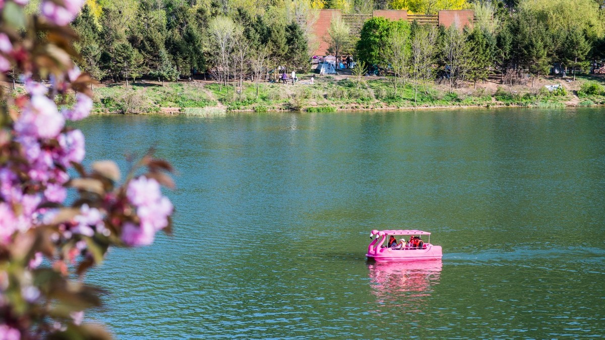 “ 五 一 ”棠 梨 湖 （ 五 ）