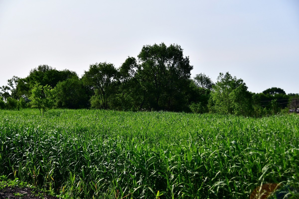 雨过天晴骑行空气新