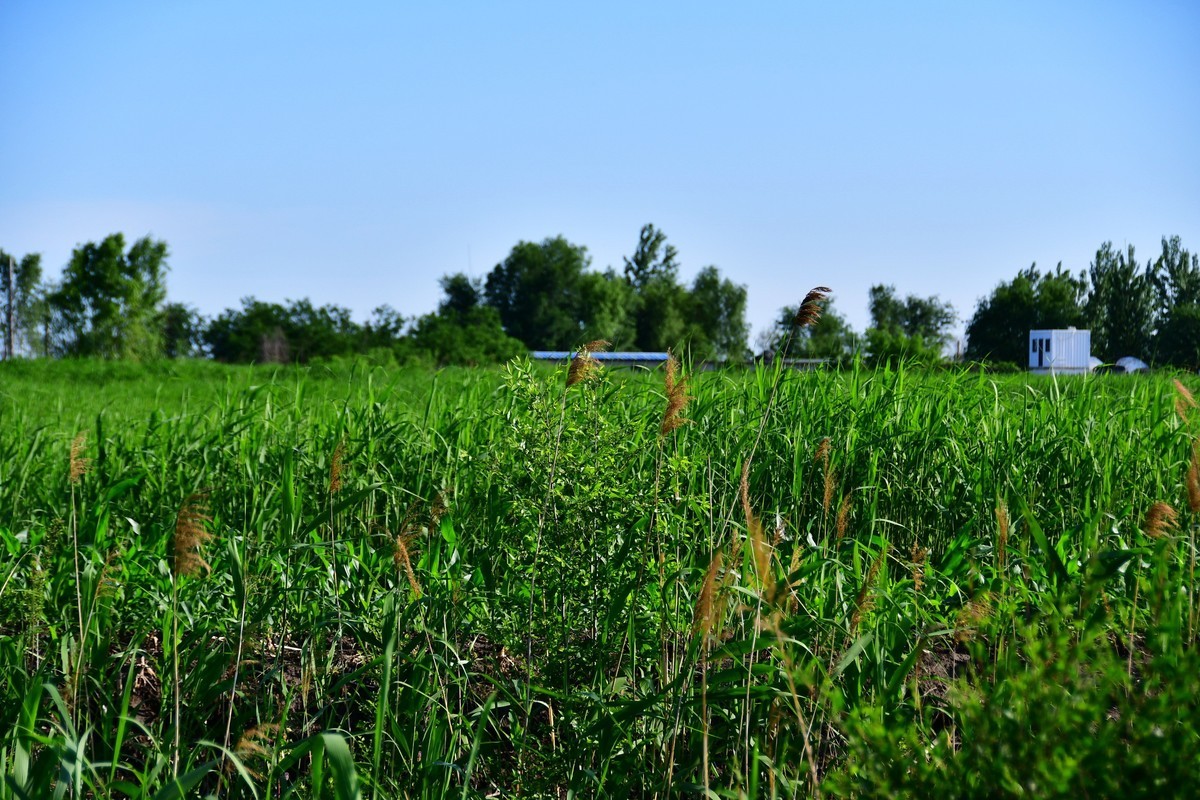 雨过天晴骑行空气新