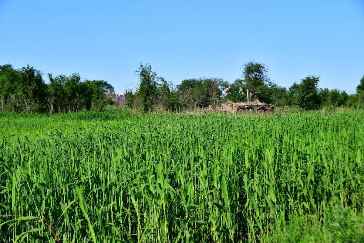 雨过天晴骑行空气新