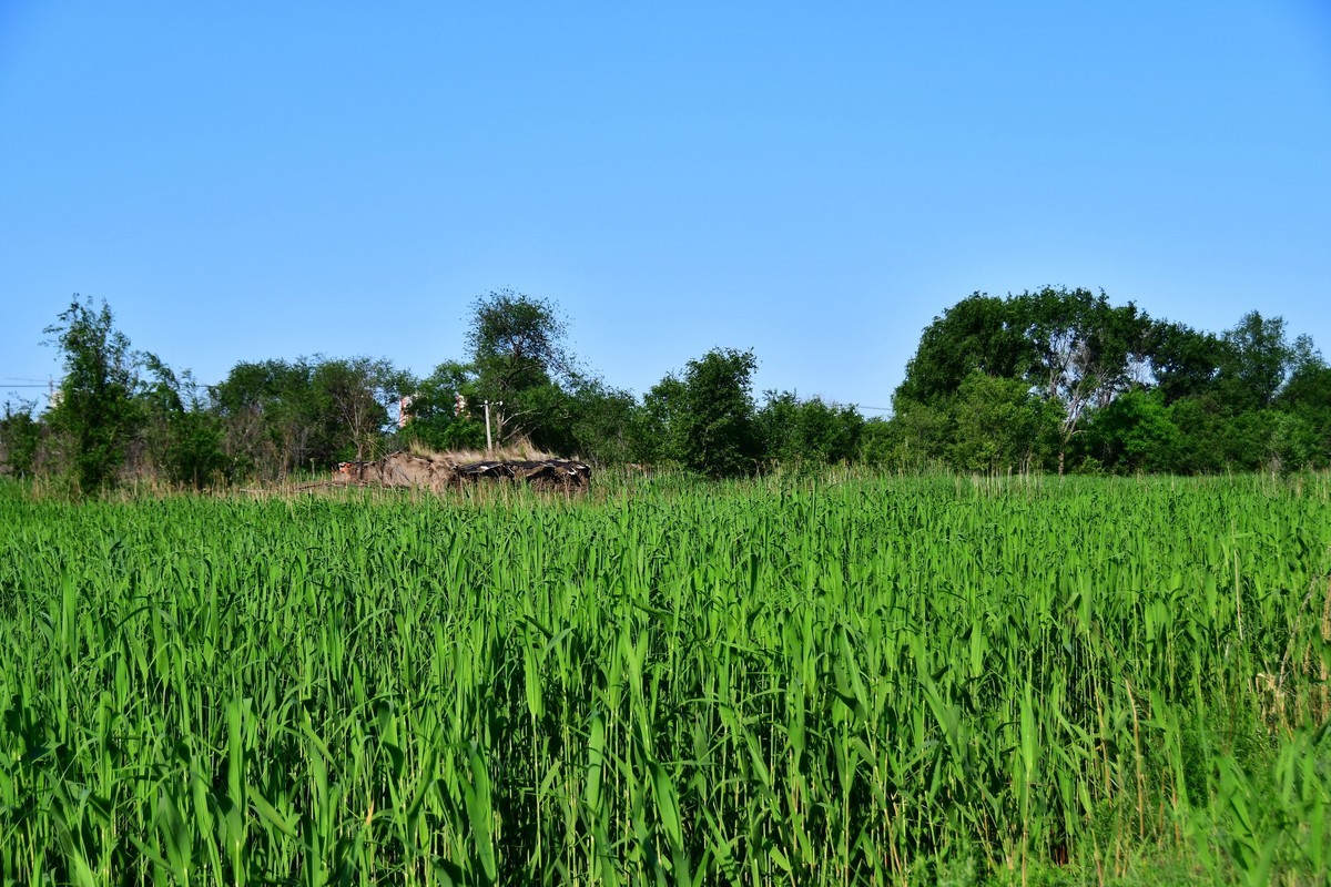 雨过天晴骑行空气新