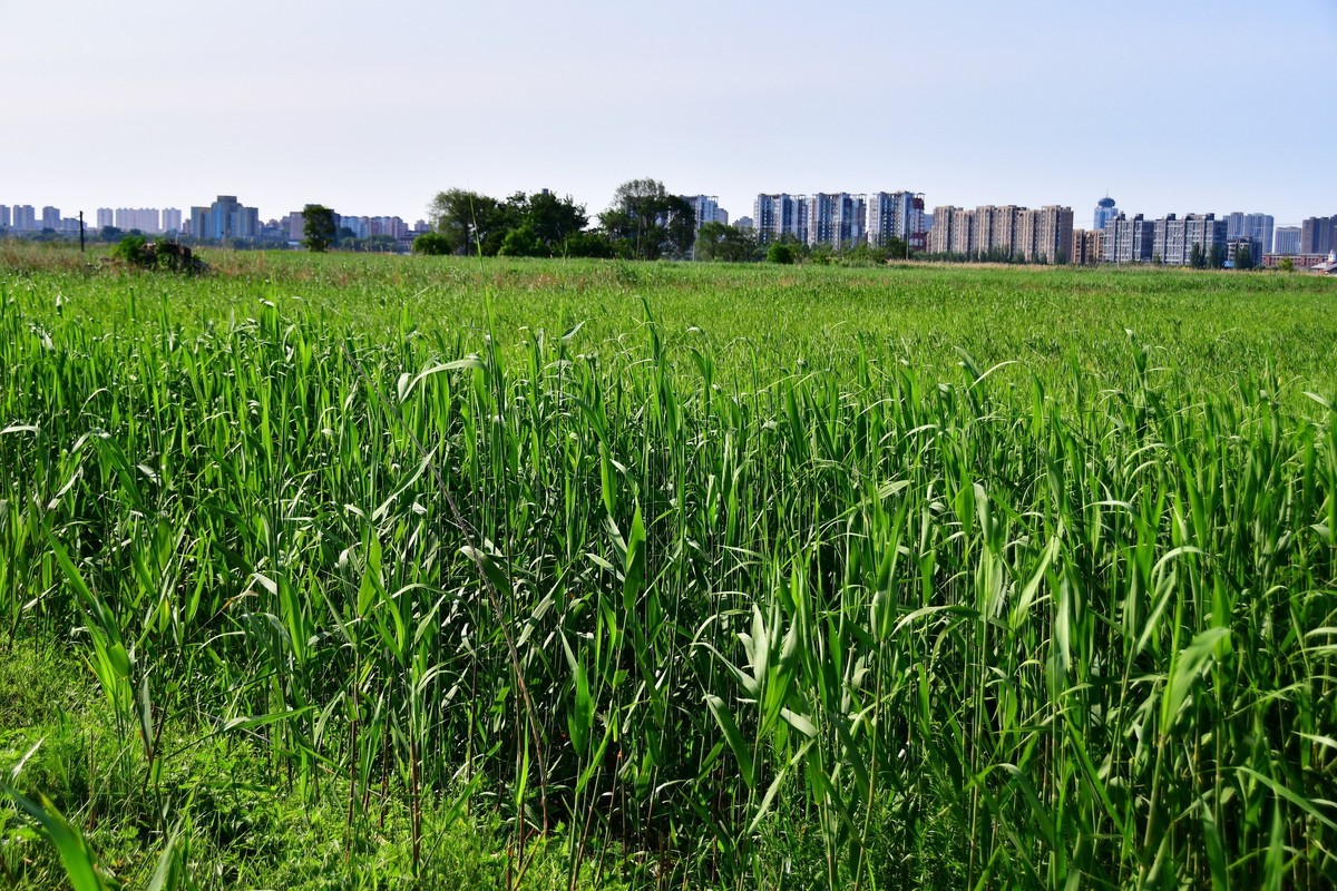 雨过天晴骑行空气新