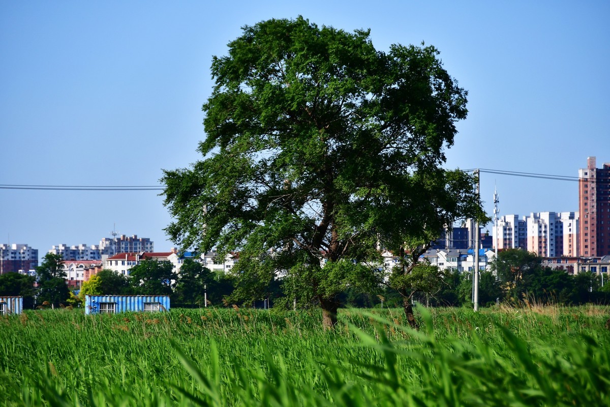 雨过天晴骑行空气新