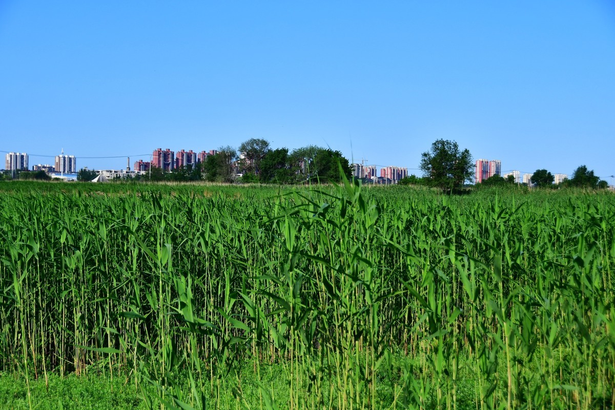 雨过天晴骑行空气新