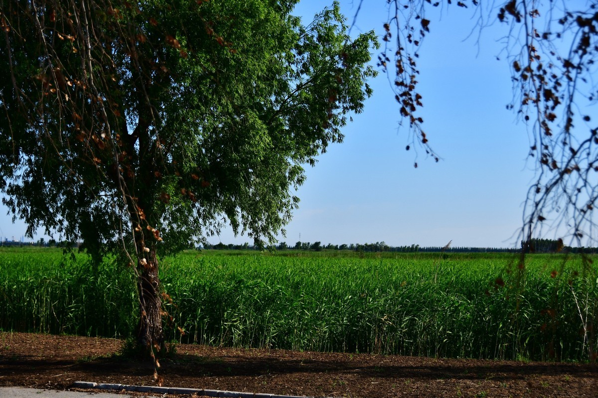 雨过天晴骑行空气新