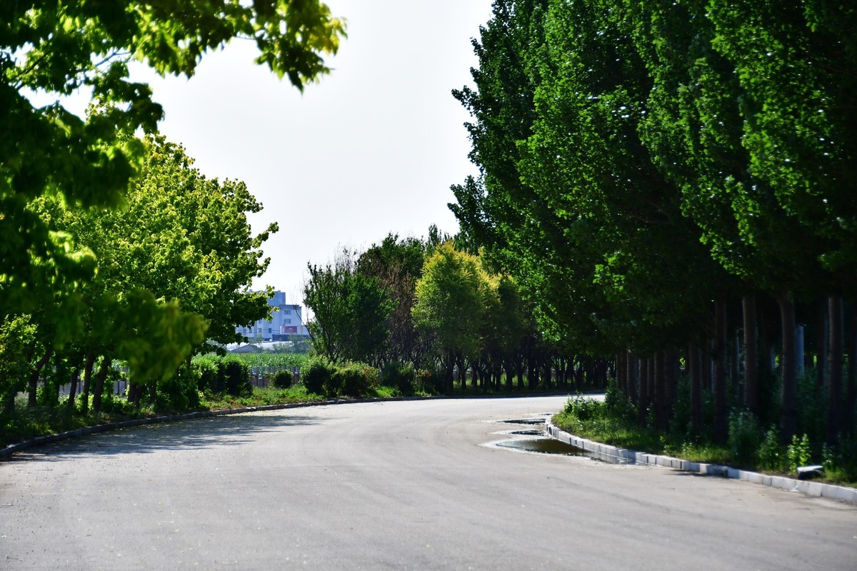雨过天晴骑行空气新