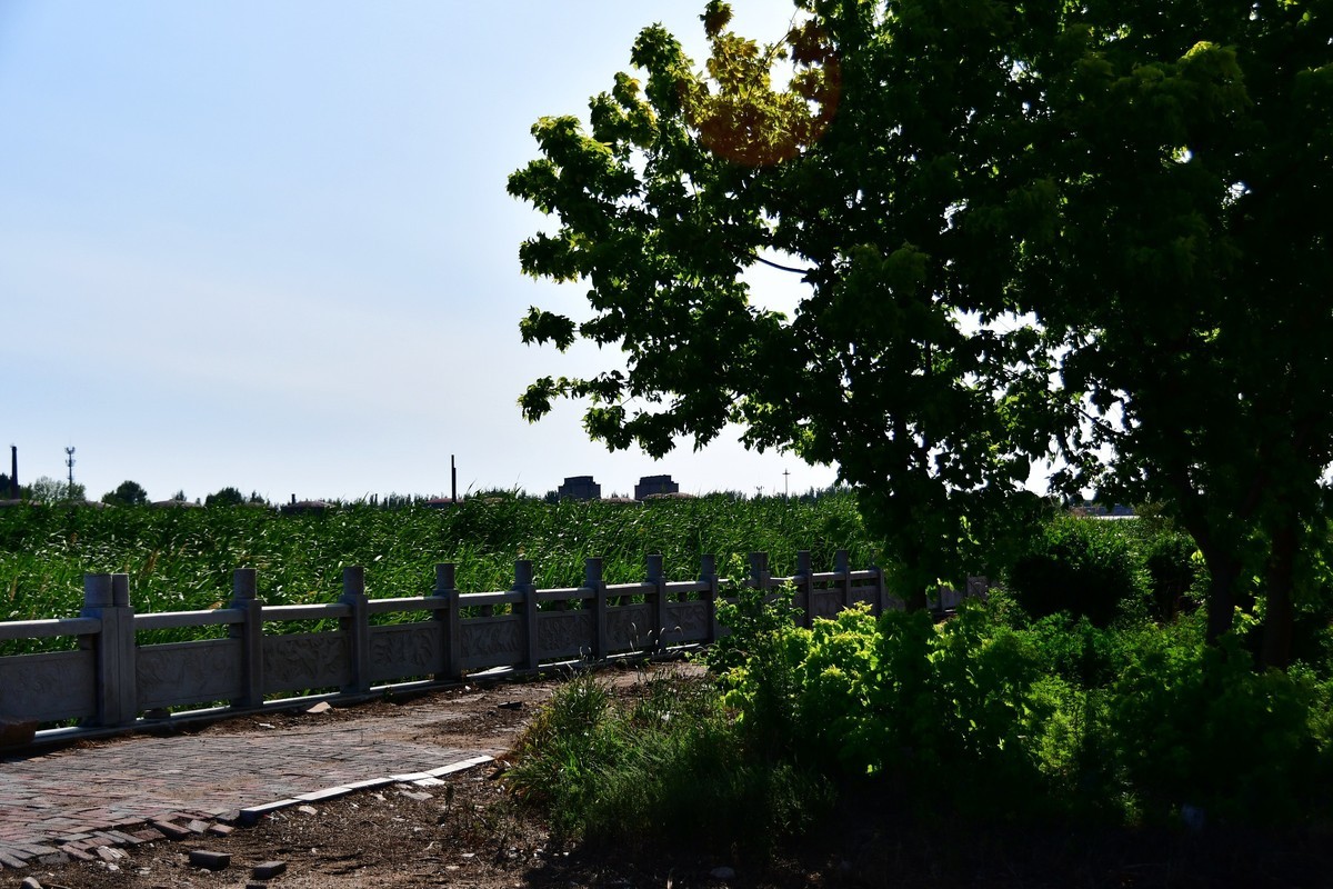 雨过天晴骑行空气新