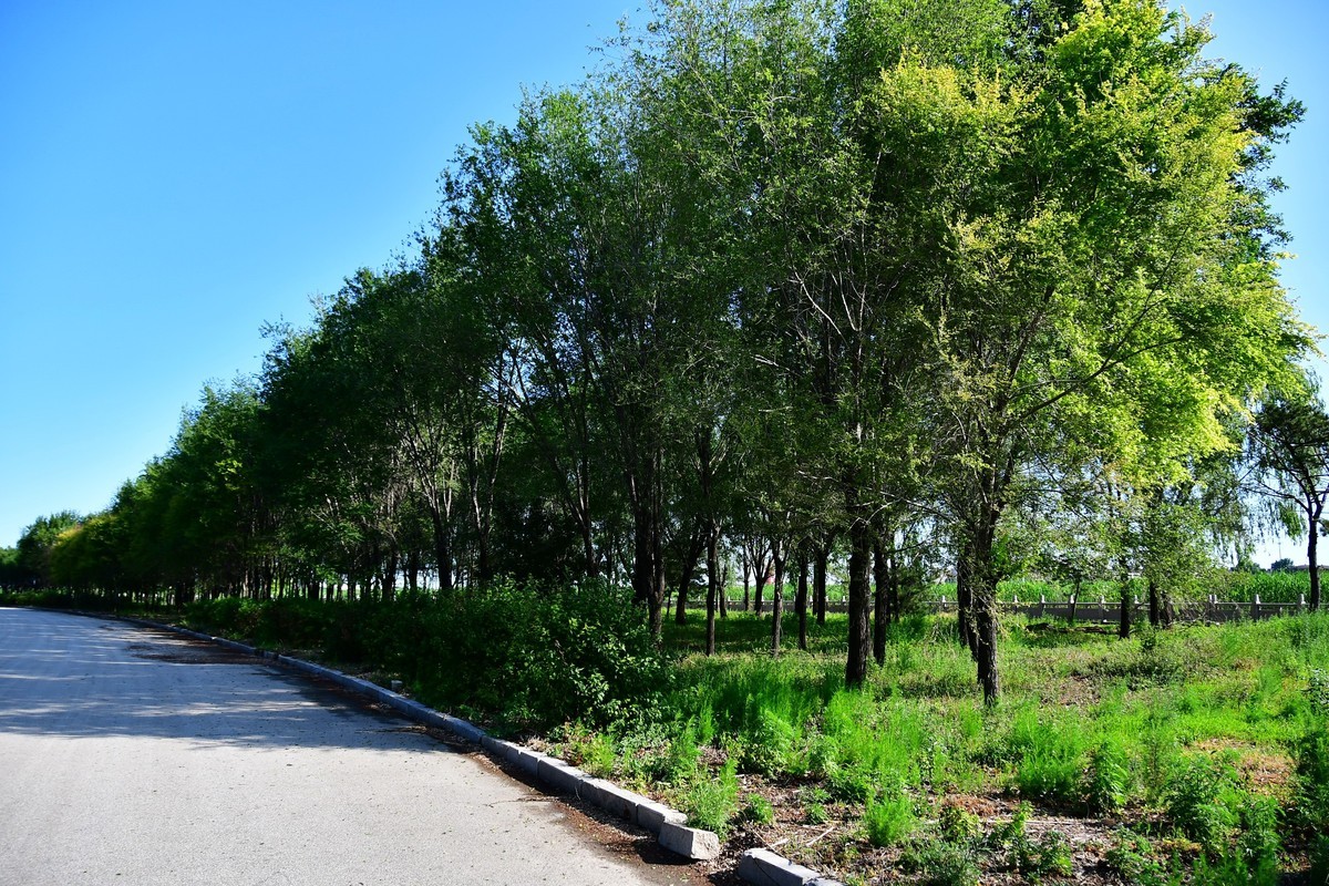 雨过天晴骑行空气新