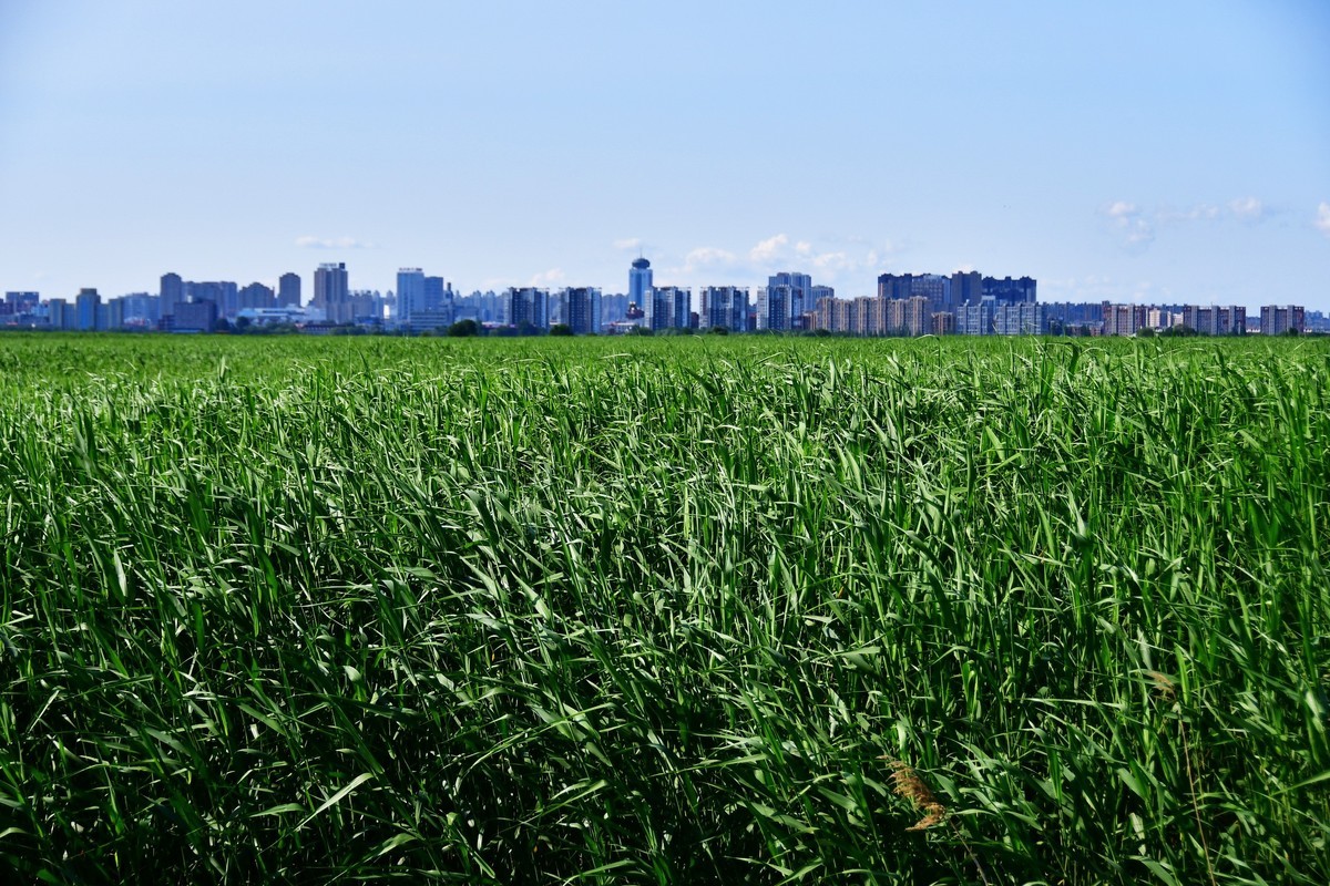雨过天晴骑行空气新