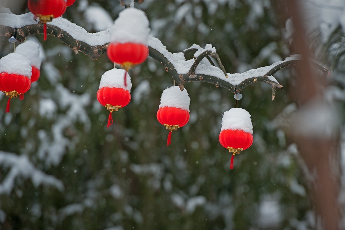 雪打灯笼一组