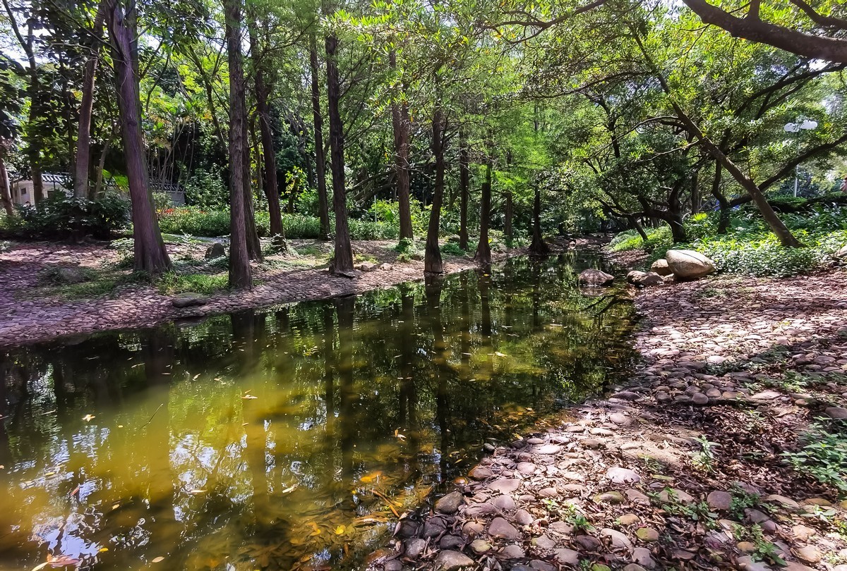 深圳人民公园 ~ 掠影