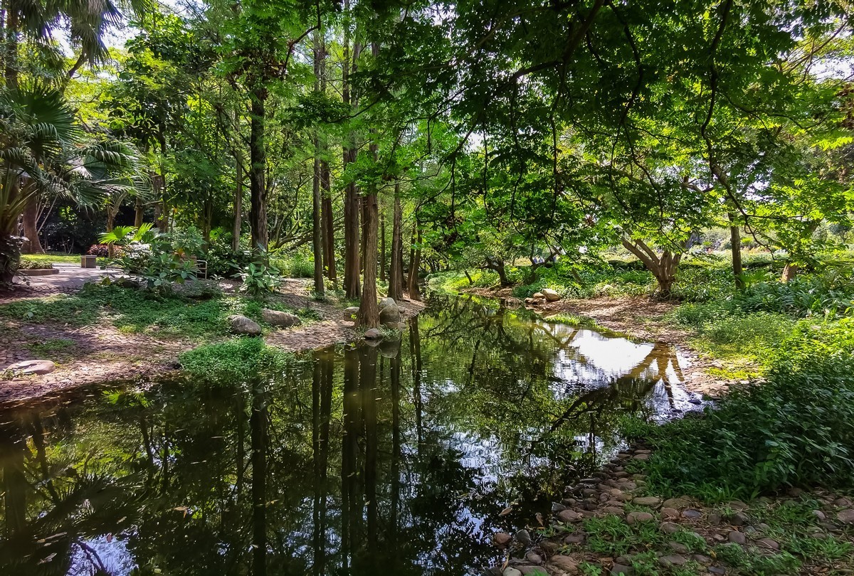 深圳人民公园 ~ 掠影