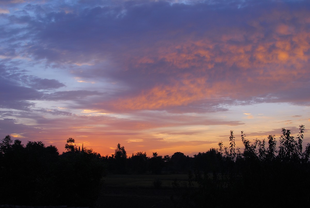 某宝弄了个4X近摄镜，发几张，感觉还可以。还有两张杂片。