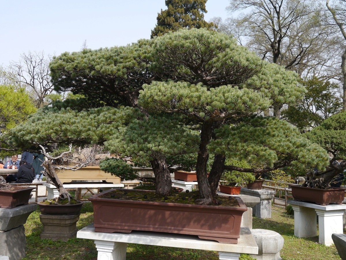 江南行之苏州篇--留园赏景（5）