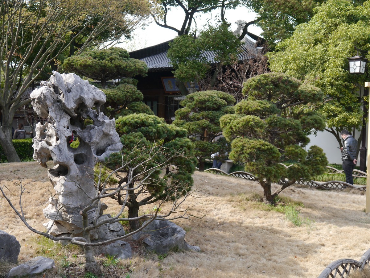 江南行之苏州篇--探访寒山寺