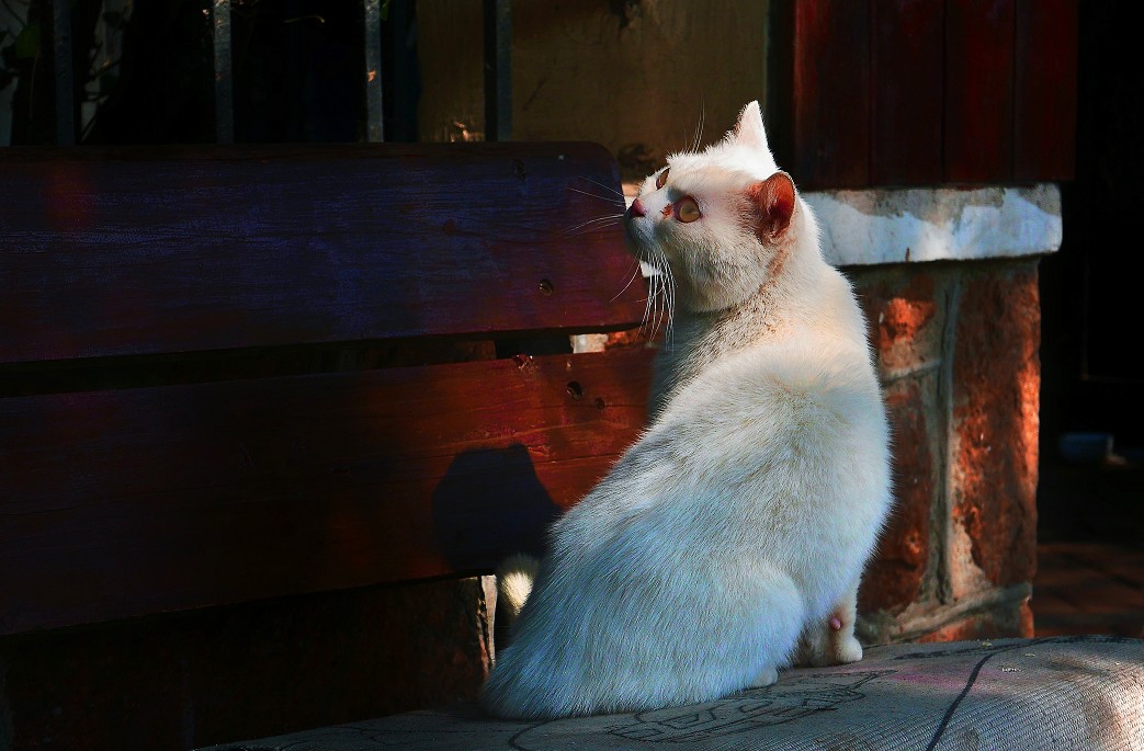 《急速抓拍快艇》《溜圈扫街风景和妹子》这天刚凉快几天又热了，不是一般的热！哈哈