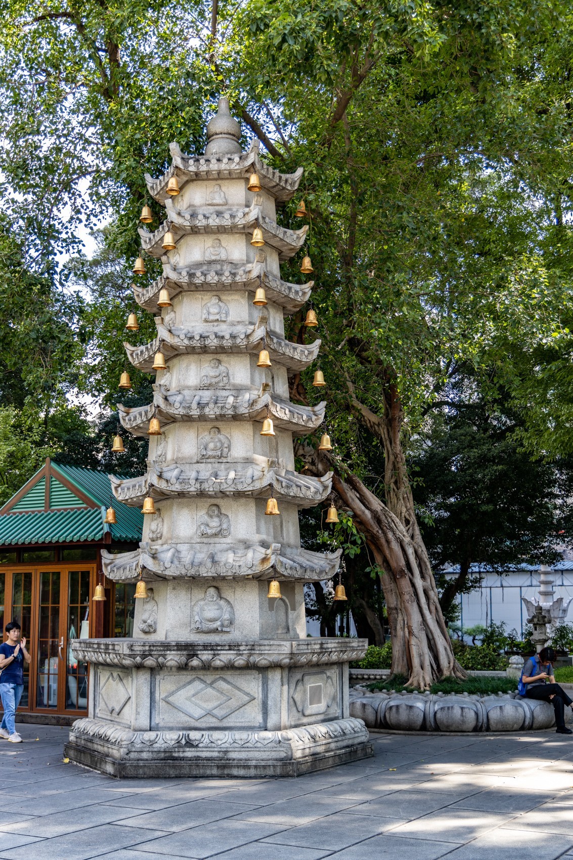海幢寺与莲（八）-中关村在线摄影论坛