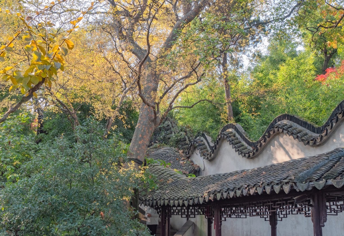 江南采风--苏州留园