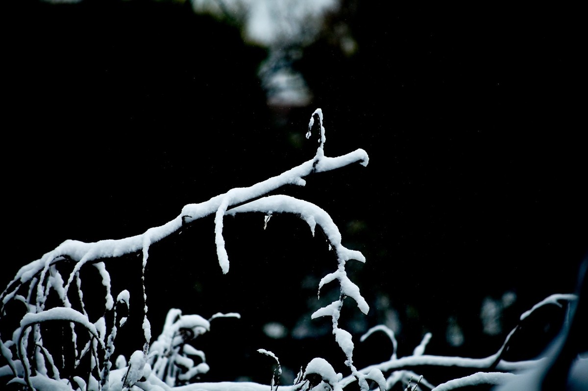 初雪——公园小景