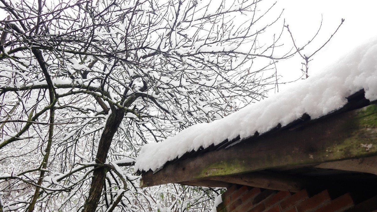 2024年成都第一场雪