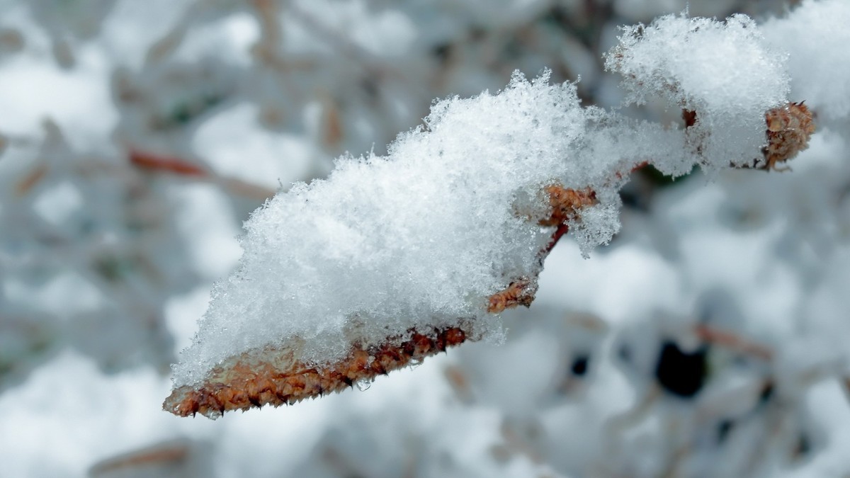 2024年成都第一场雪