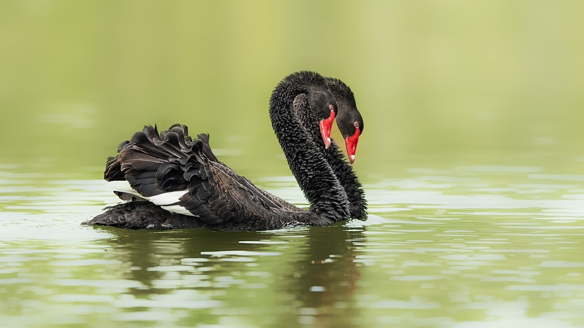 相亲相爱的一家