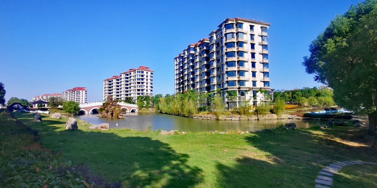 社区新绝吐芳华