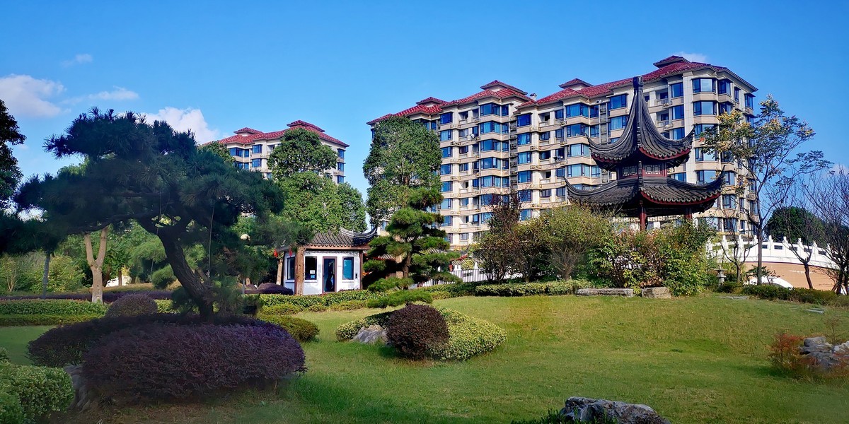 社区新绝吐芳华